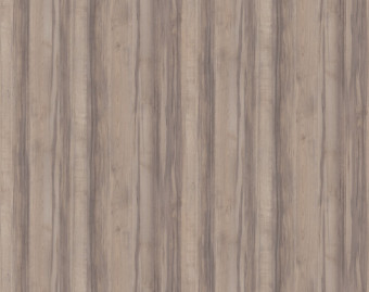 [200111122_9] Taralay Impression Compact - 0725 Sycamore Light Brown